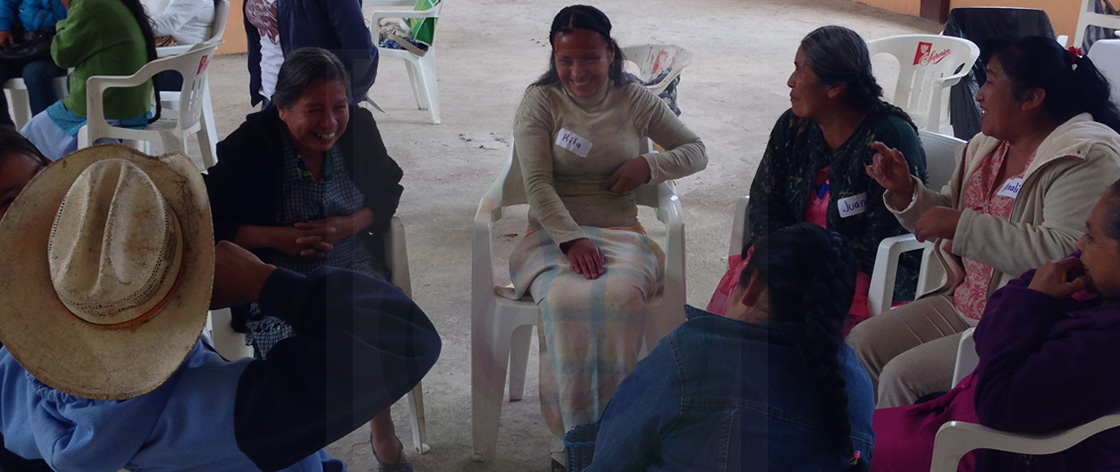 https://anterior.cafisac.org/wp-content/uploads/2016/11/banner.jpg